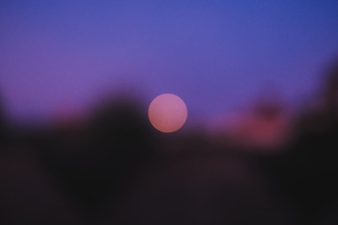 阴阳师于家什么梗